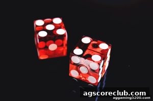 AG真人 agscoreclub